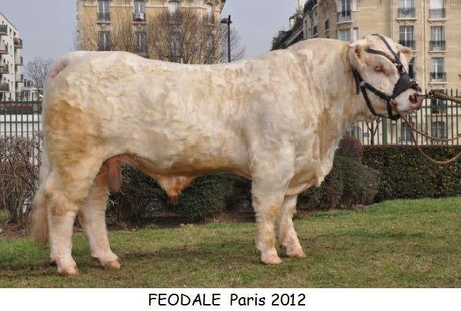 FEODALE